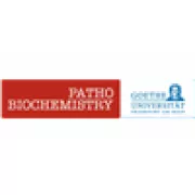Verstärkung (Vollzeit/ Teilzeit) in der Administration des Instituts und des Graduiertenprogramms GRK 2336 Verstärkung (Vollzeit/ Teilzeit) in der Administration des Instituts und des Graduiertenprogramms GRK 2336