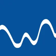 Logo für den Job (Senior) Network Solutions Architect (m/w/d)