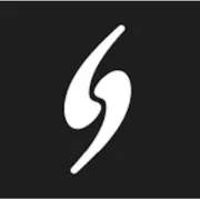 Logo für den Job Consulting Project Lead