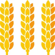 Logo für den Job PayRoll Specialist / Mitarbeiter Lohn- und Gehaltsabrechnung