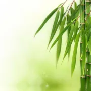 Masseur / Medizinischer Bademeister (m/w/d) - Deutschlandweit