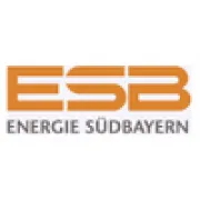 Logo für den Job Werkstudent (w/m/d) E-Carsharing