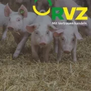 Logo für den Job Mitarbeitende im Außendienst (m/w/d) Bereich Schwein