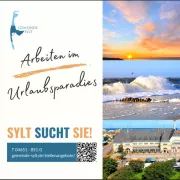 Verwaltungswirt / Verwaltungsfachwirt / Jurist (m/w/d) Verwaltungswirt / Verwaltungsfachwirt / Jurist (m/w/d)
