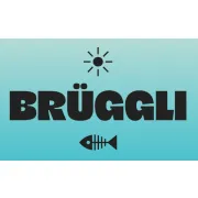 Logo für den Job Runner/in für das Brüggli Zug